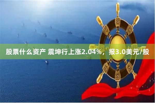 股票什么资产 震坤行上涨2.04%，报3.0美元/股