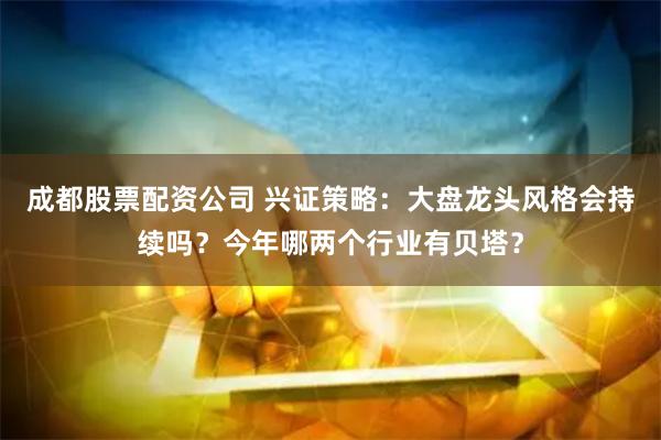 成都股票配资公司 兴证策略：大盘龙头风格会持续吗？今年哪两个行业有贝塔？